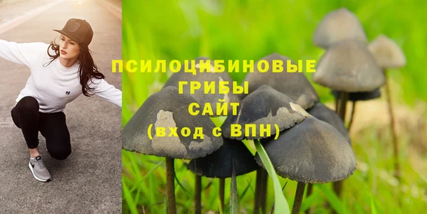 а пвп мука Белокуриха