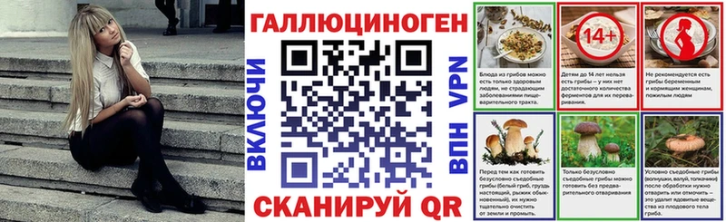 Псилоцибиновые грибы Psilocybine cubensis купить наркотики цена Пионерский